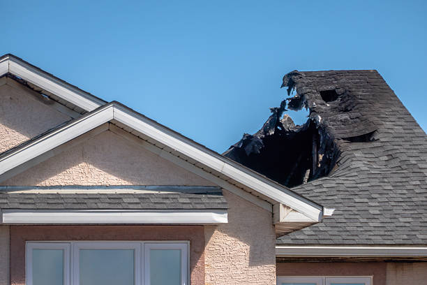 Top rated local Firefighting Water Removal specialists in Bethel, MN